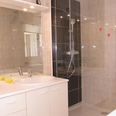 Apartamento 2 Pieces Avec Climatisation Et Animal Admis, Centre